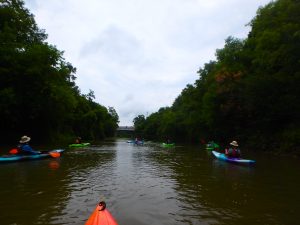 Kayaking, Yoga & Meditation - August 22, 2018-1