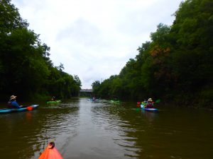Kayaking, Yoga & Meditation - August 22, 2018-2