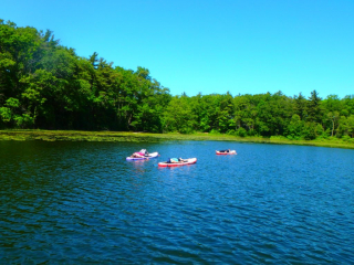 SUP Yoga – June 22, 2019
