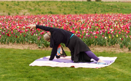 Why Practicing Yoga in Nature Changes Everything